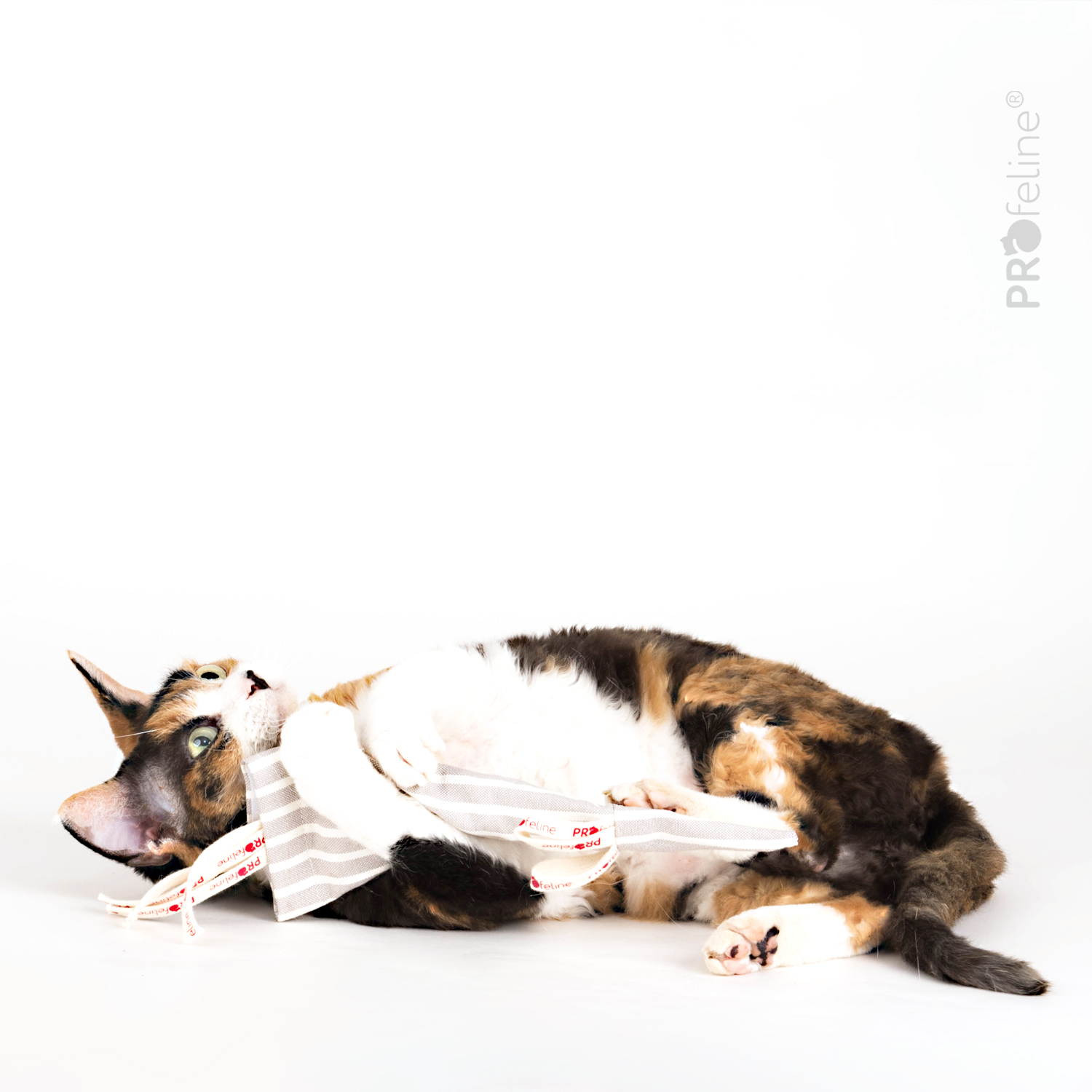 Cat Toy refillable washabel Sie Mouselot