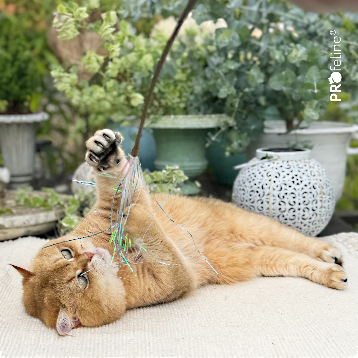 Spielstab Glitzer für Katzen