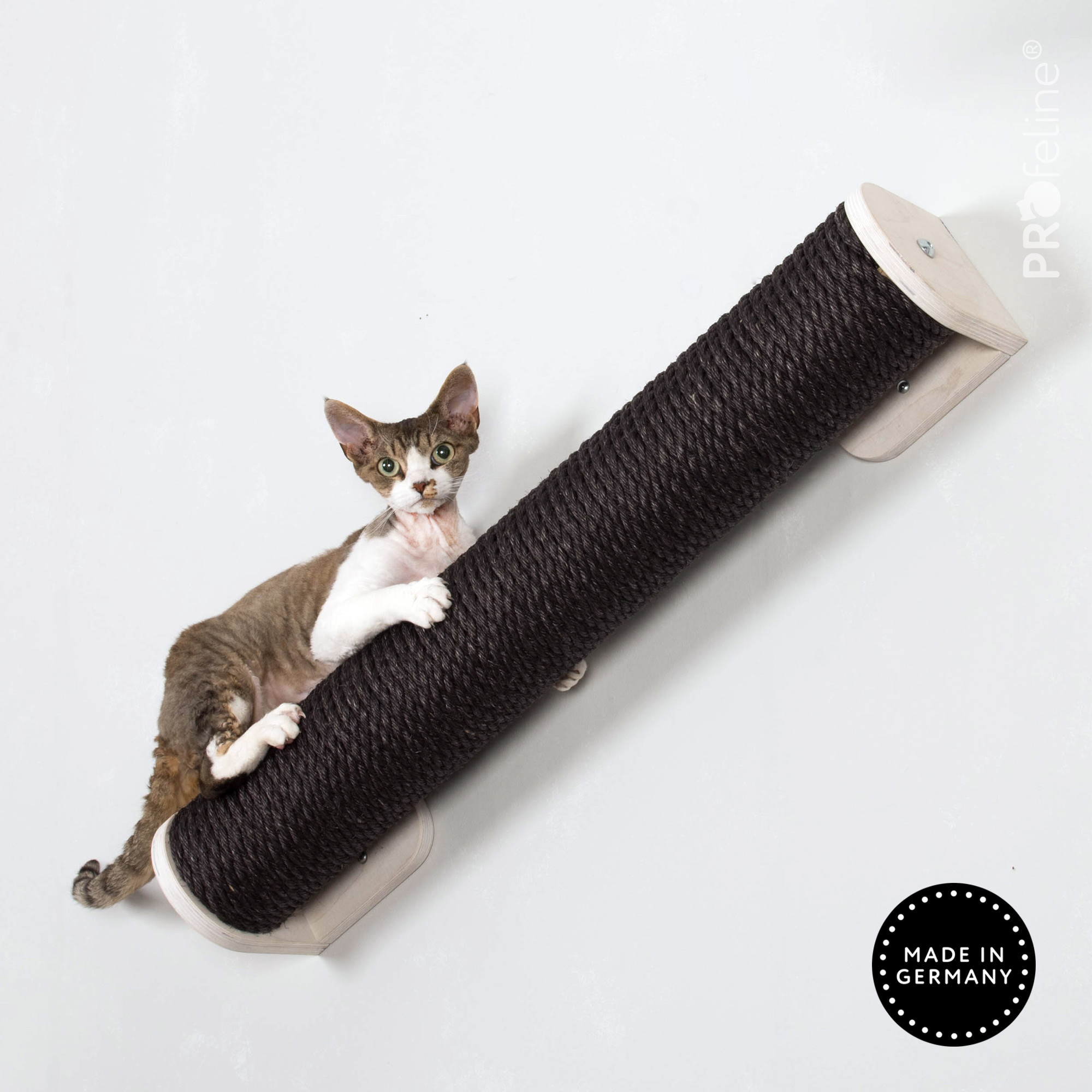 Katzensteg Katzen Wandgestaltung Kratzstamm schwarz
