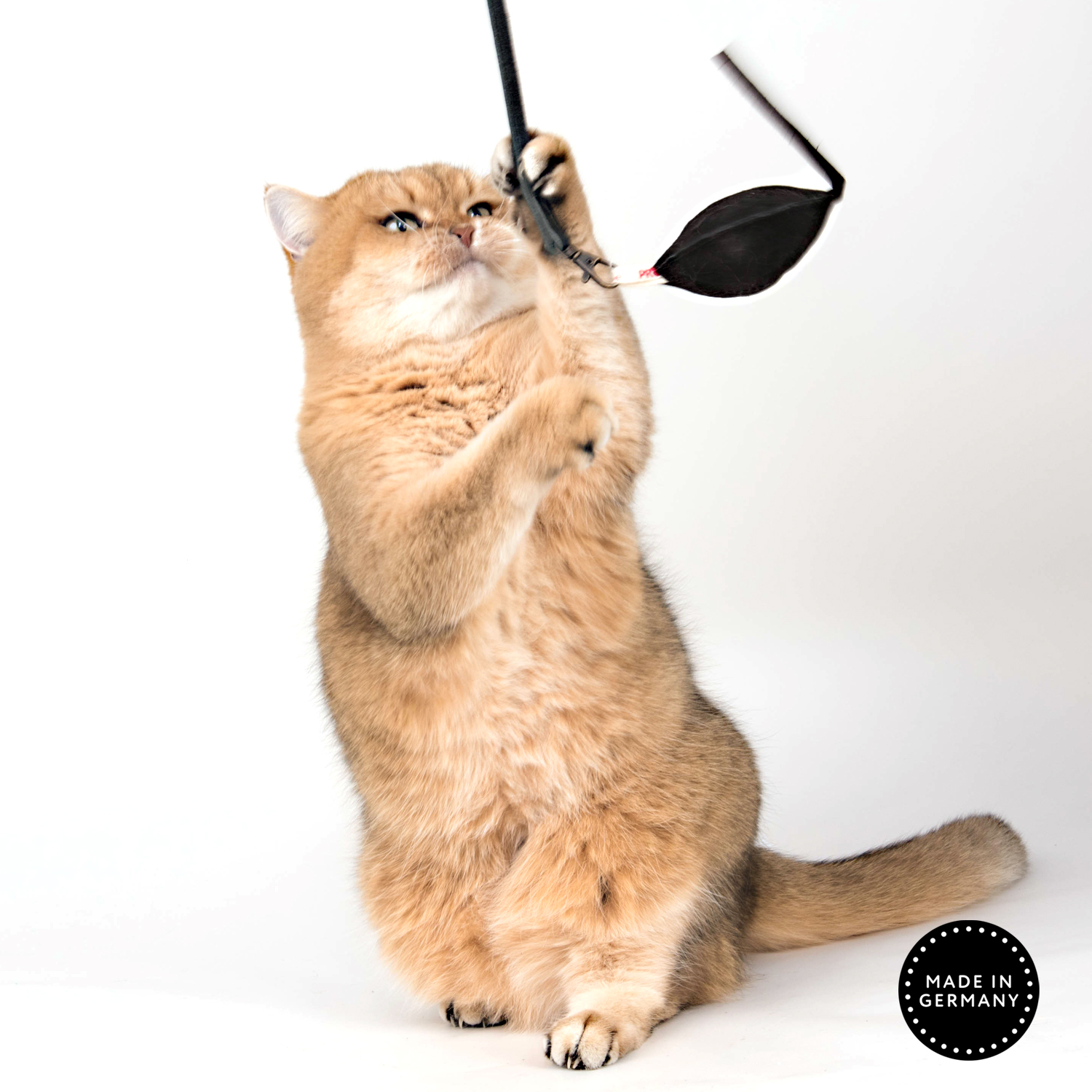 Canitp Leder Maus für Katzen