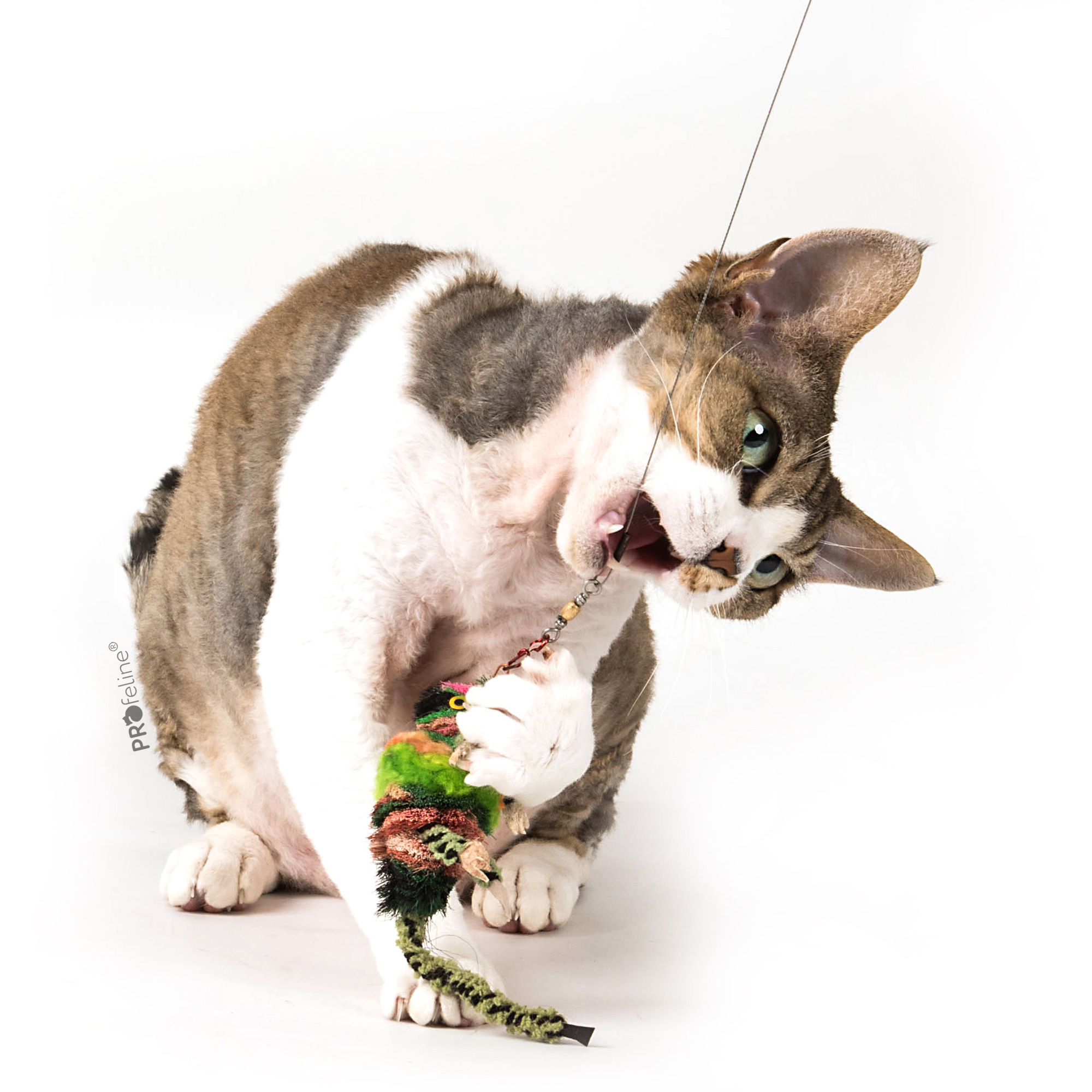 cat-toy-chameleon-refill-lilly