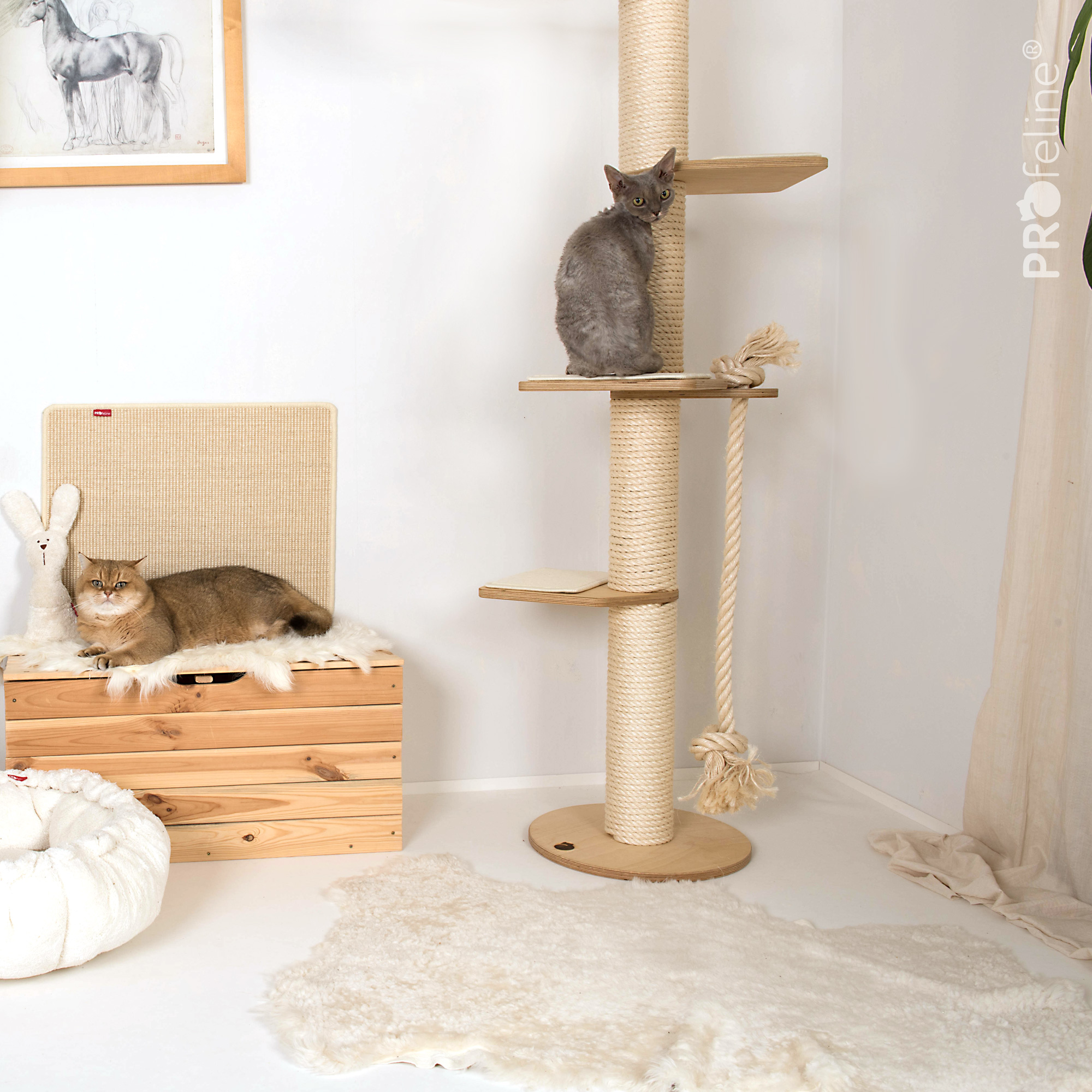 Marino Lammfell Katzenzimmer