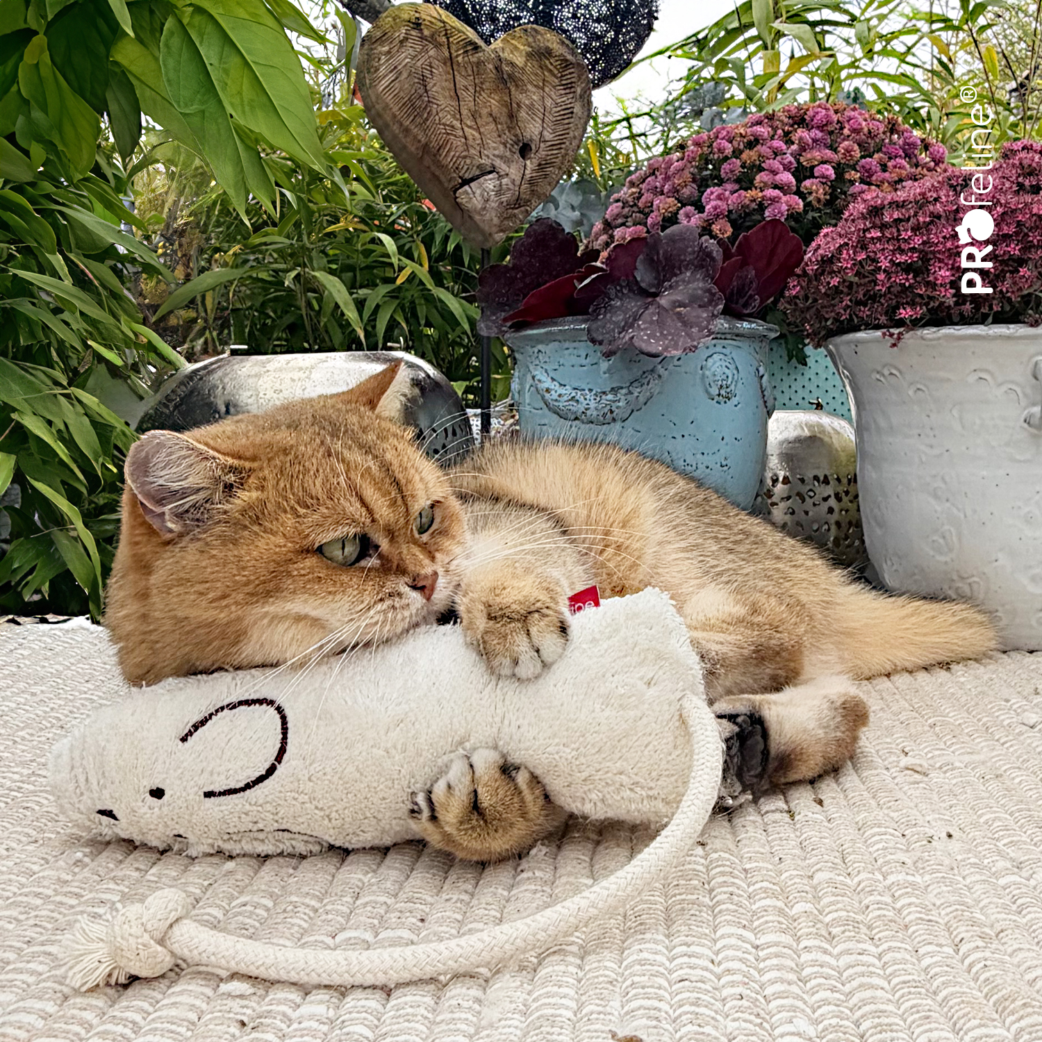 Katzenspielzeug grosse Maus waschbar