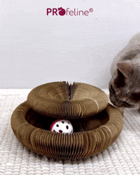 Magical Twiddle Toy Papier Katzens Cat Track