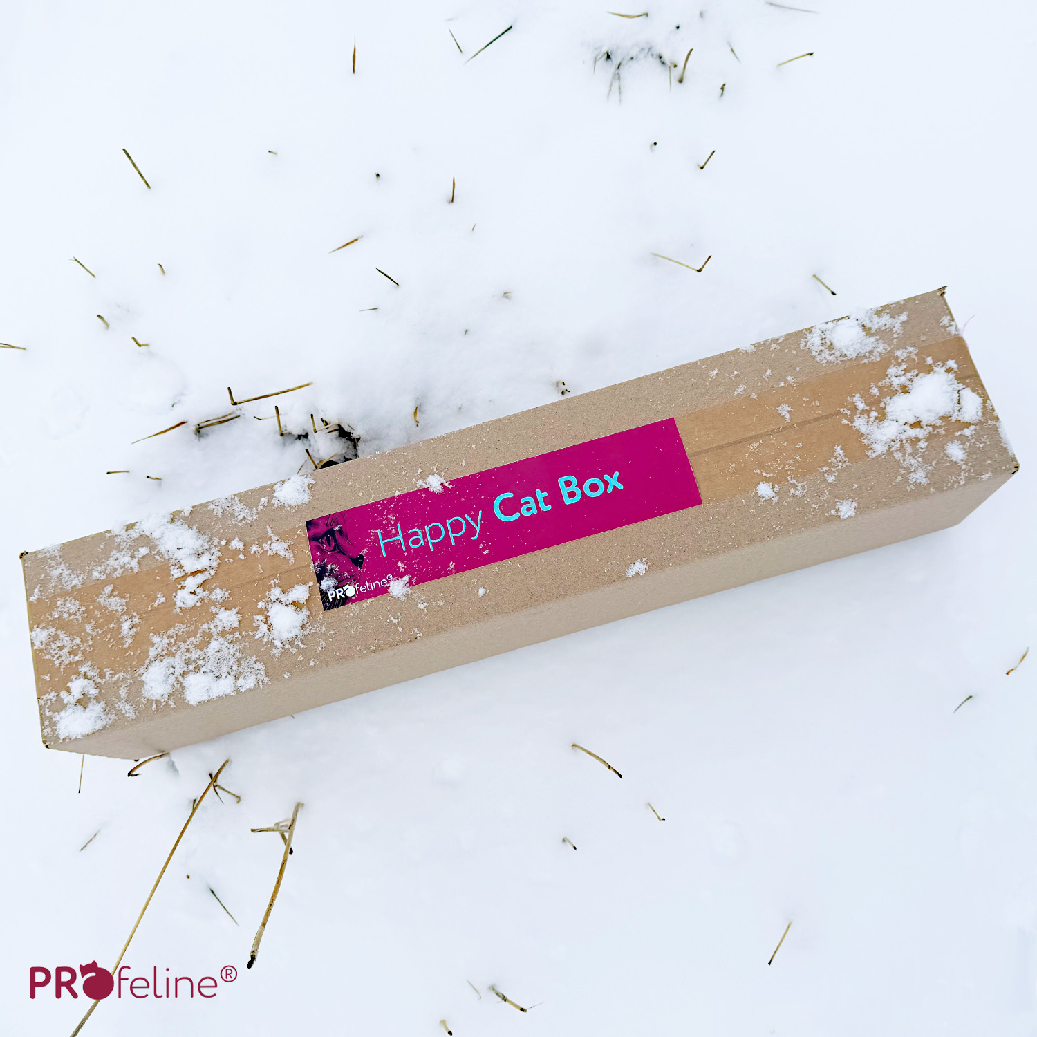 Happy Cat Box - Sparkling Winter