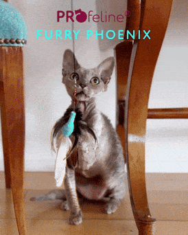 Furry Phoenix Anhänger Katzenspielzeug Furry Phoenix