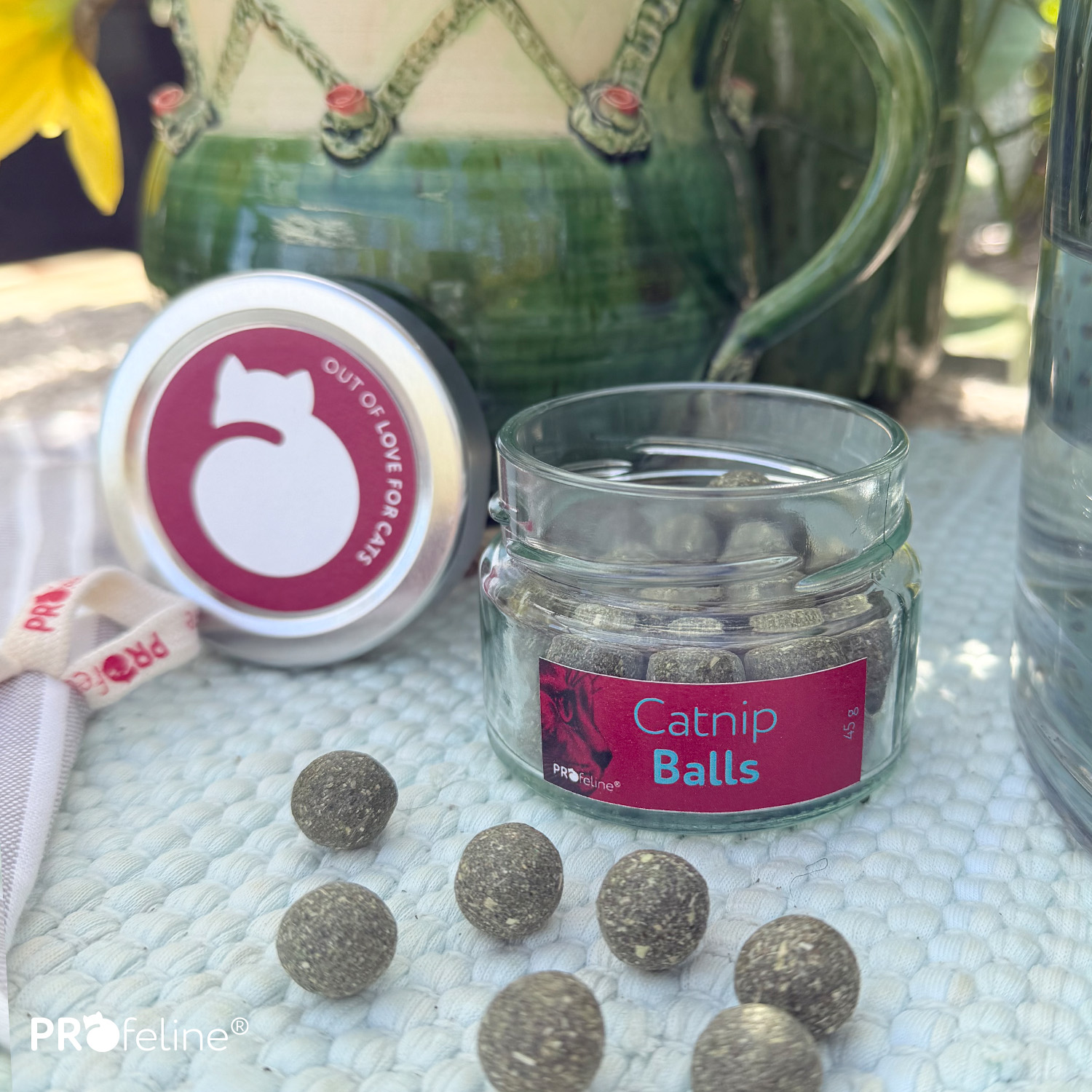 Beliebter Katzenduft Katzenminze