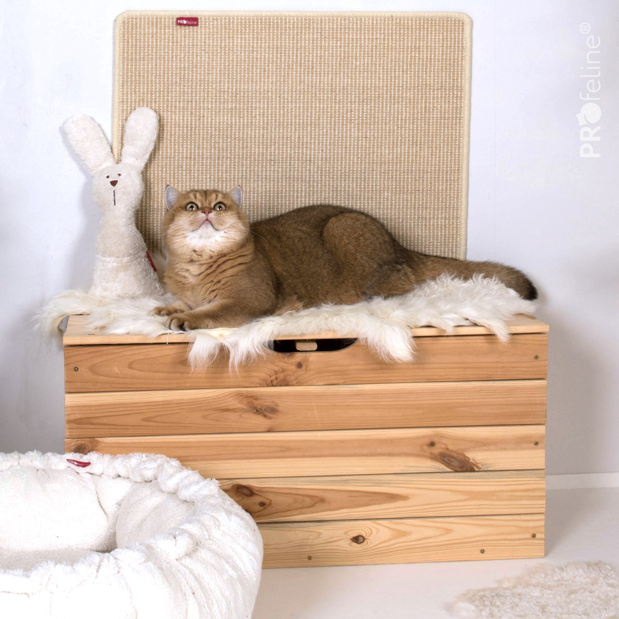 Island Lammfell Ursprungsform Katzenzimmer einrichten