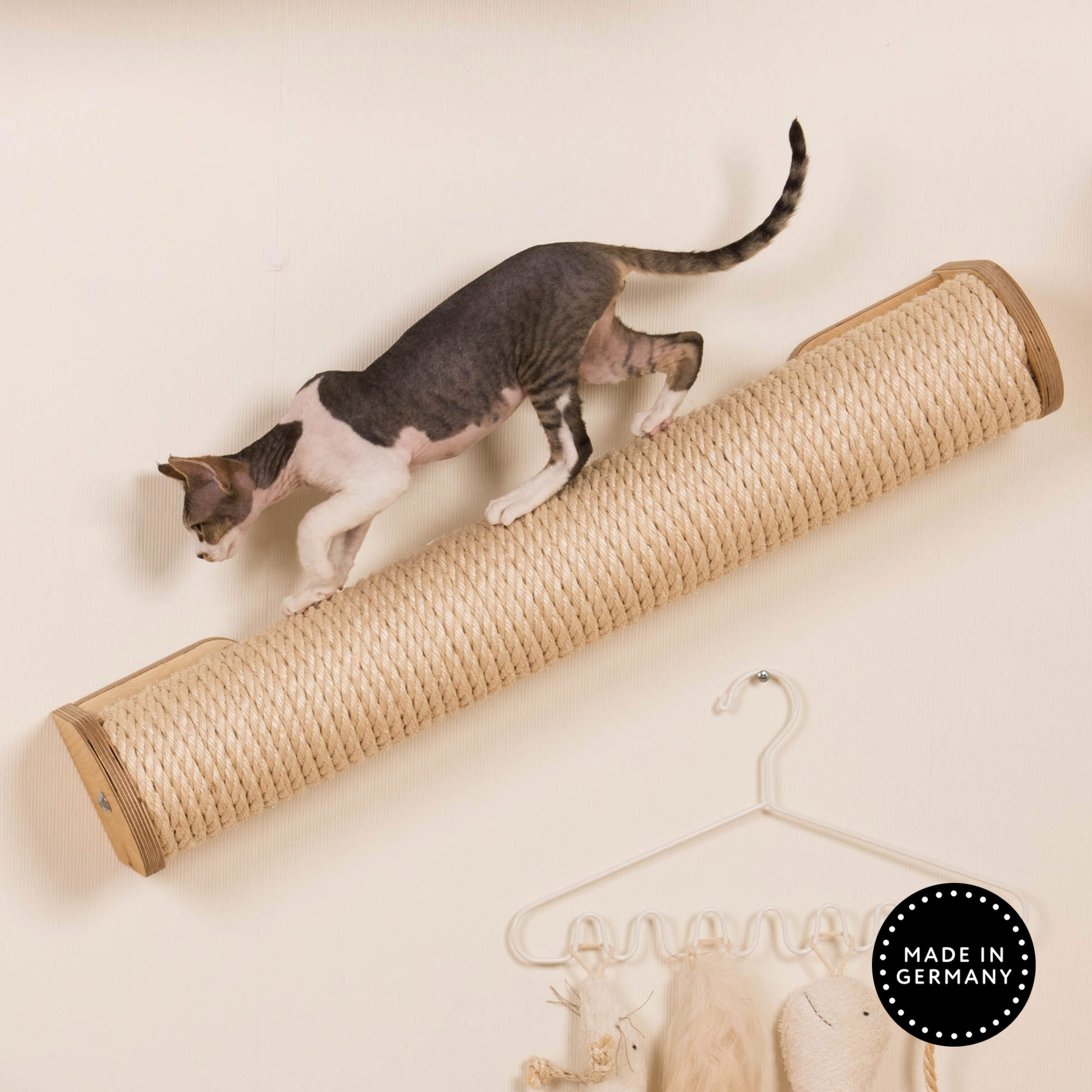 Katzensteg Katzen Kletterwand birke