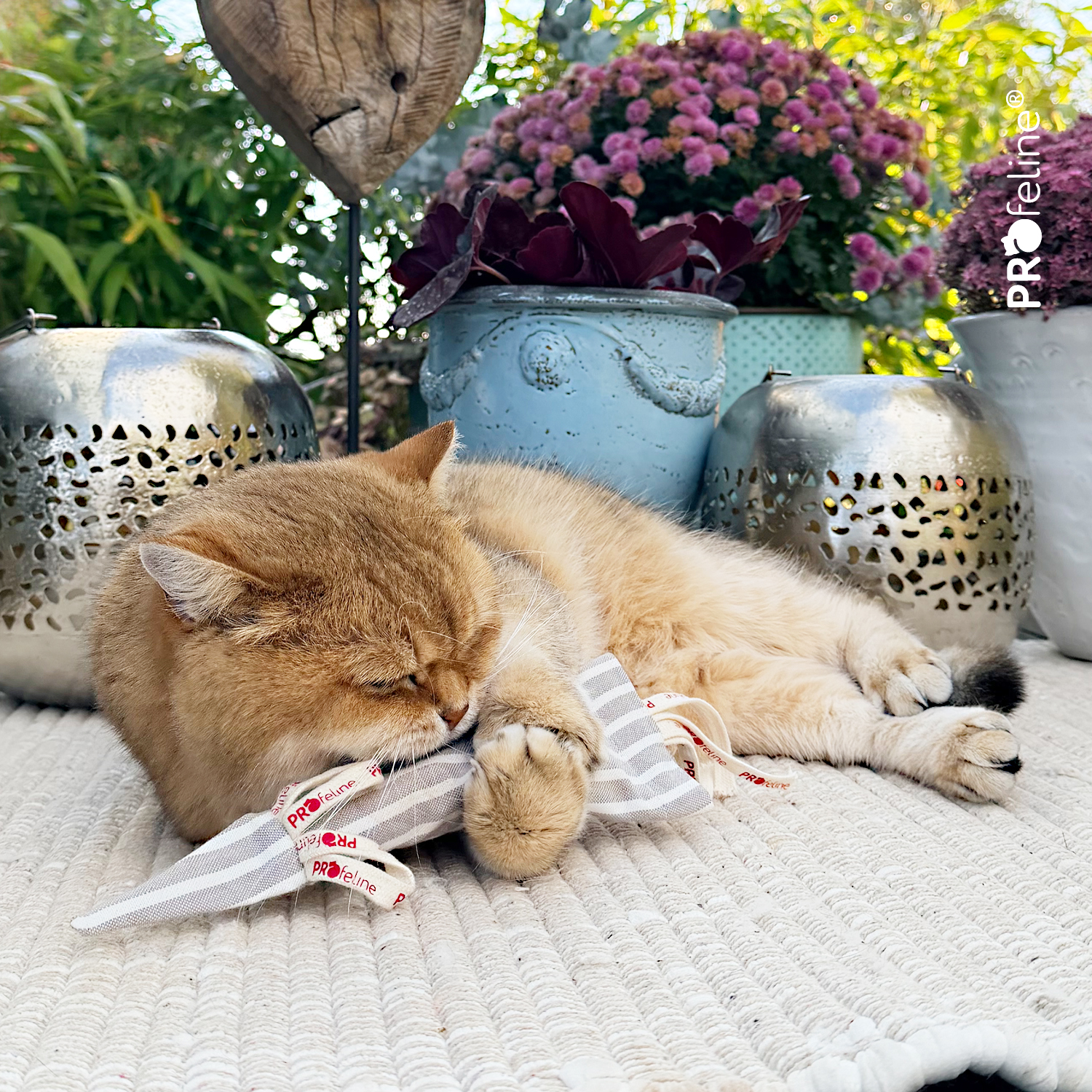 Organic Cotton Sir Mouselot - zum Befüllen Cat Toy Mouse refillable nachfüllbar