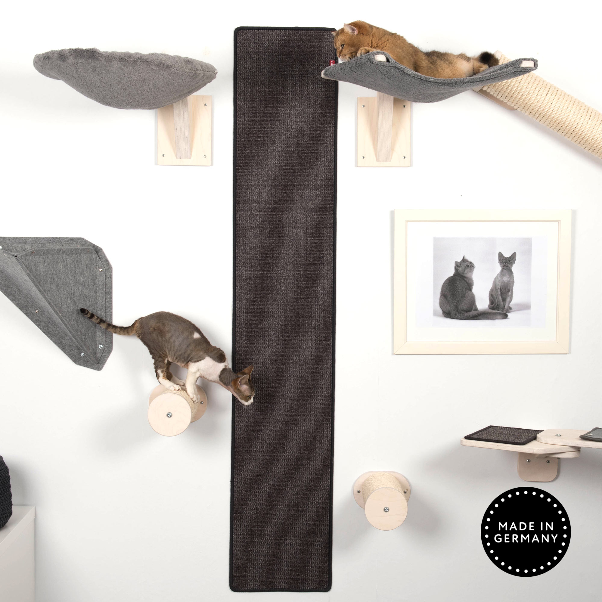 Kletterwand Katzen gestalten
