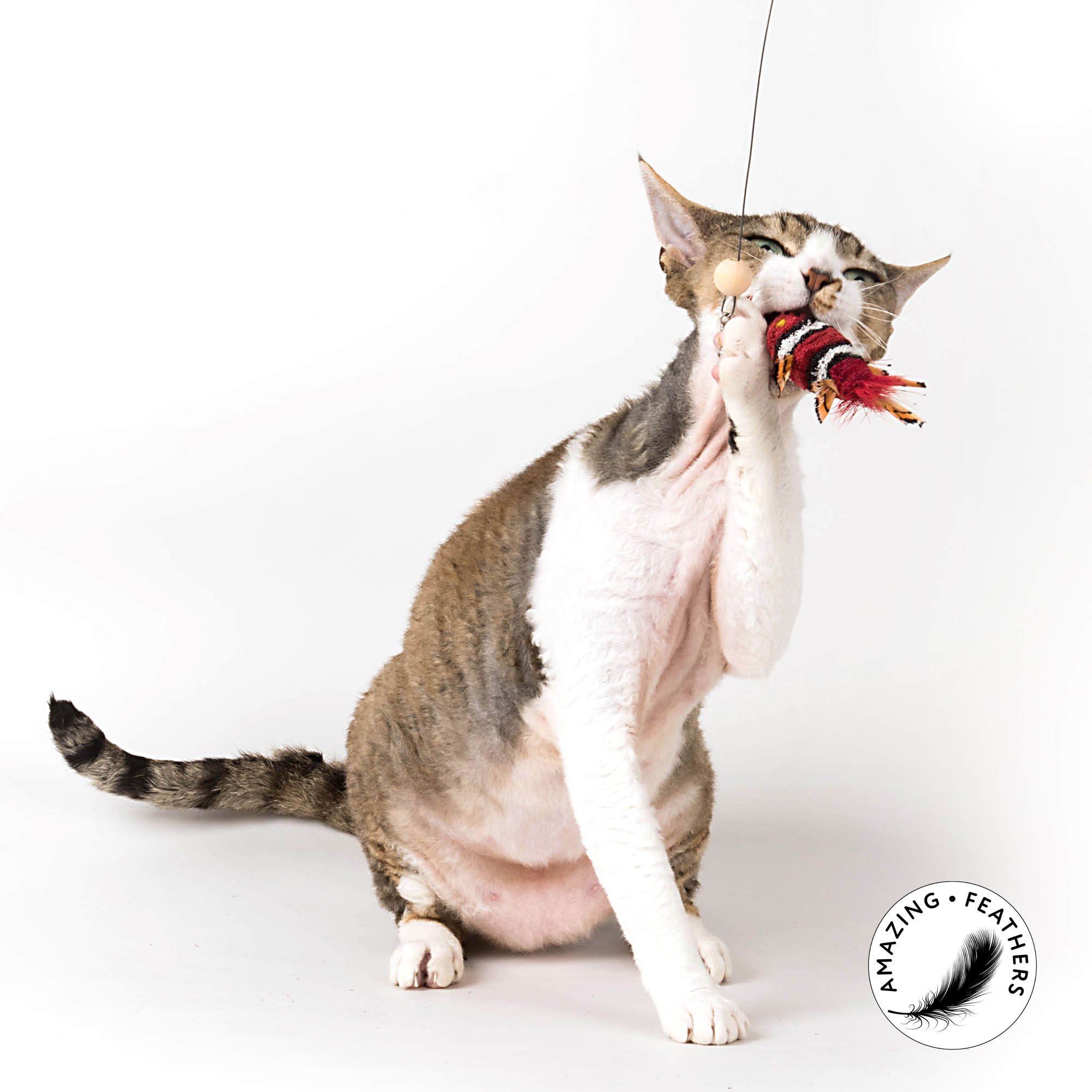 cat-toy-flying-fish-doppelpack-red