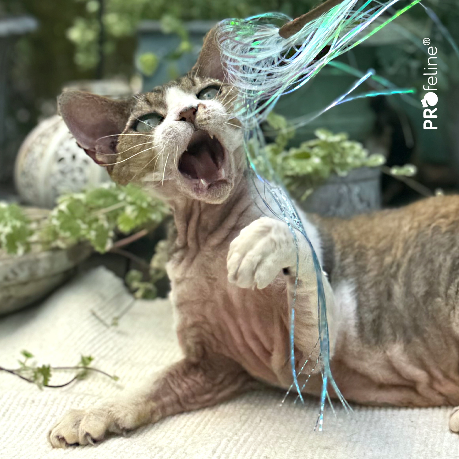 Katzen Spielstab Glitzer Streifen