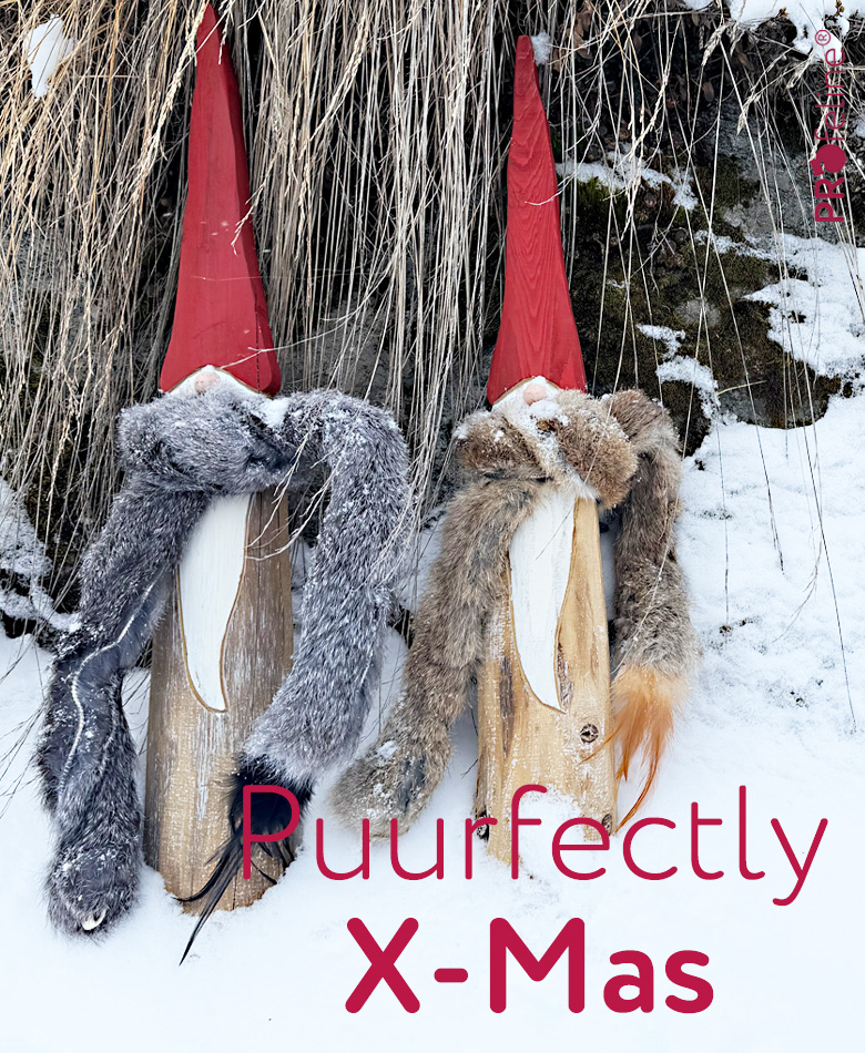 Christmas gifts for Cats