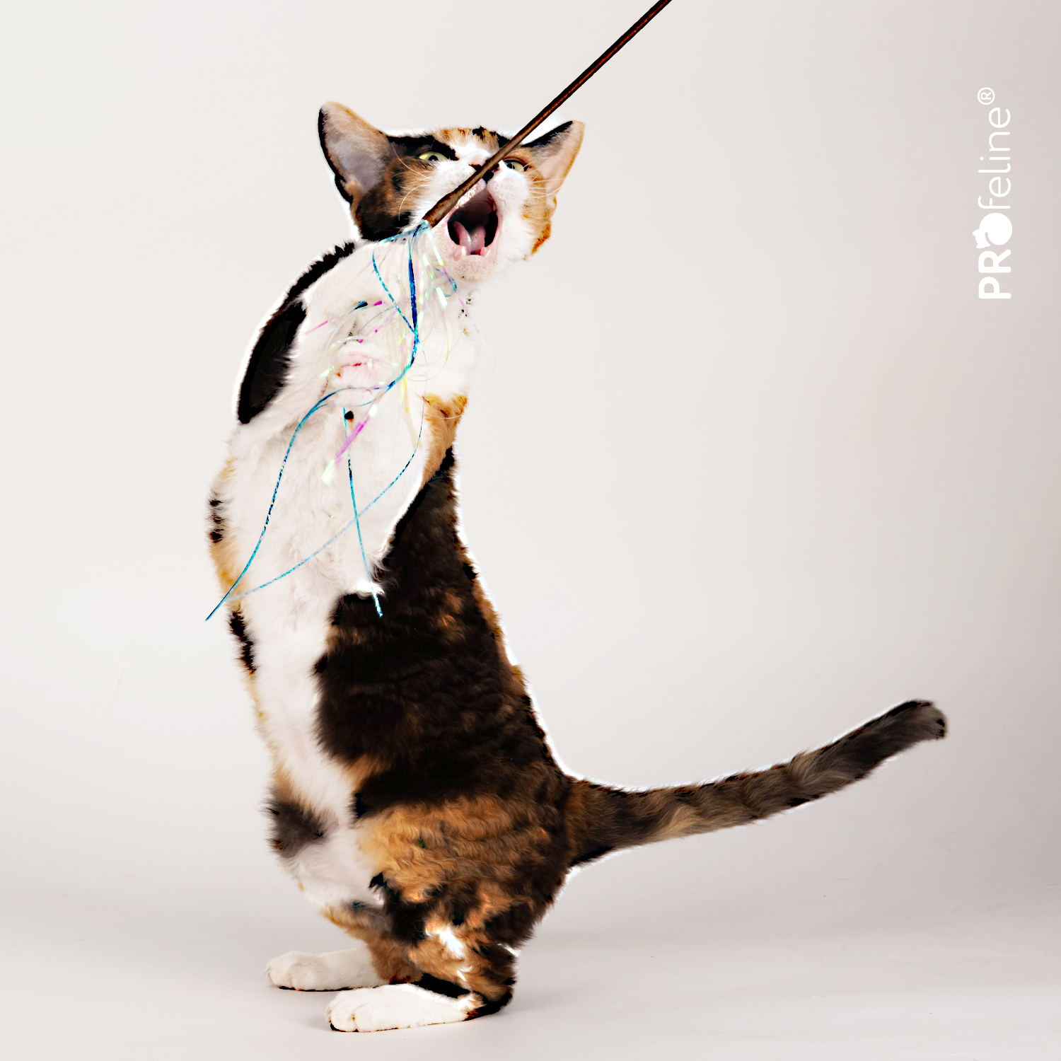 Katzen Spielstab Glitzer