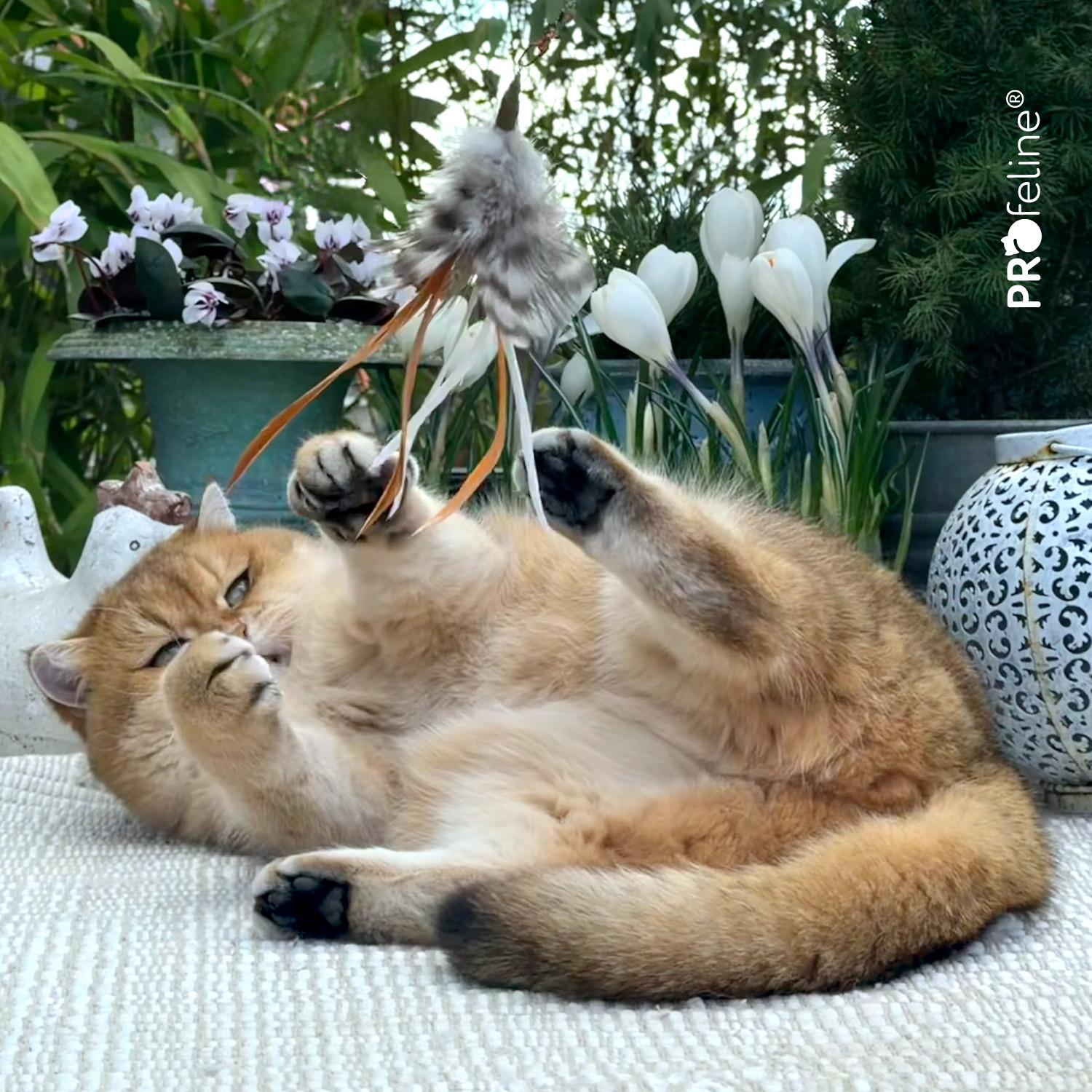 Katzenanangel Anhänger Tickle Charms