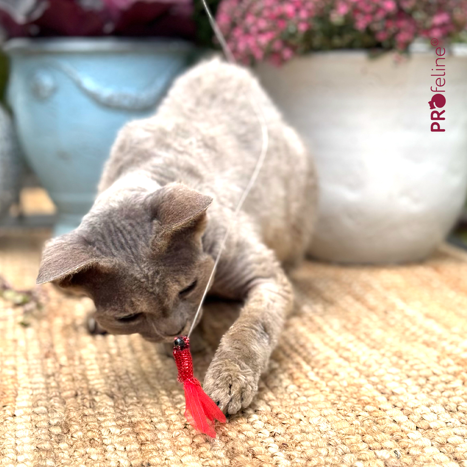 Katzenspielzeug Anhänger rote Fliege