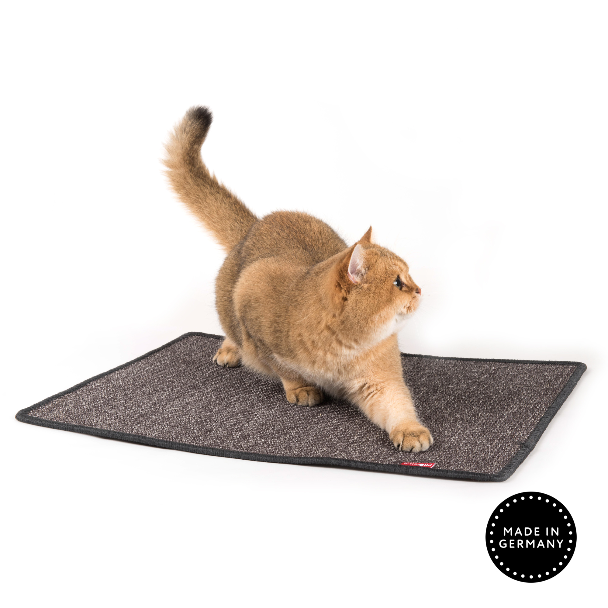 Katzen Kratzmatte 60 x 45 cm Kratzteppich Kratzmatte 60x45 cm Anthrazit