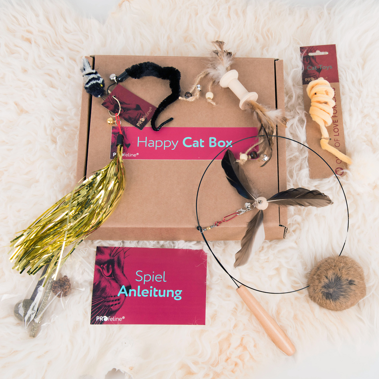 Happy Cat Box - WinterWorld