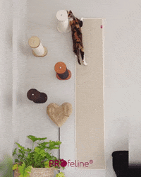 Kletterstufe mit kleinen Makel Katzen Kletterstufen
