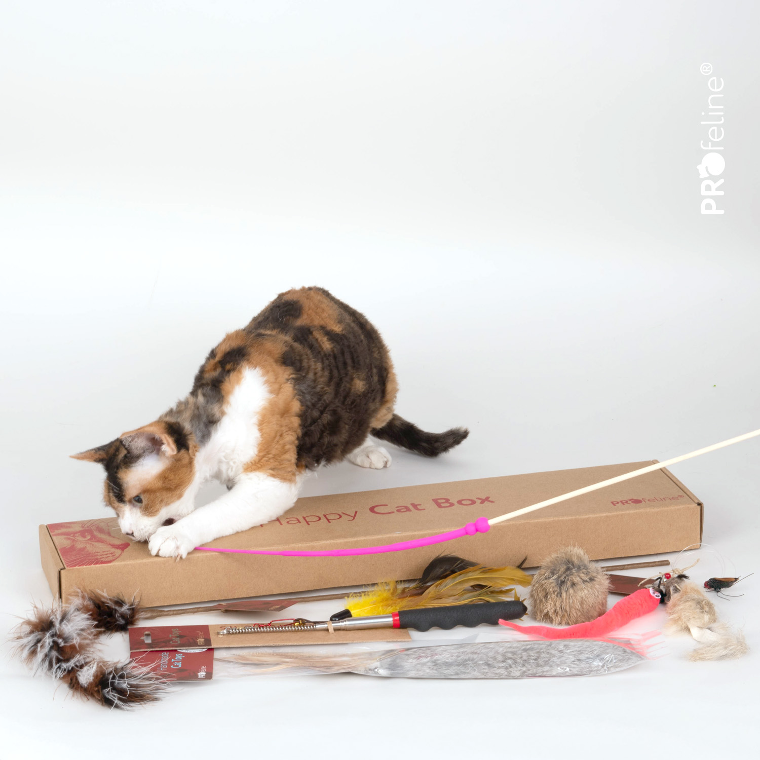 Katzen Spiezeugbox Bestseller