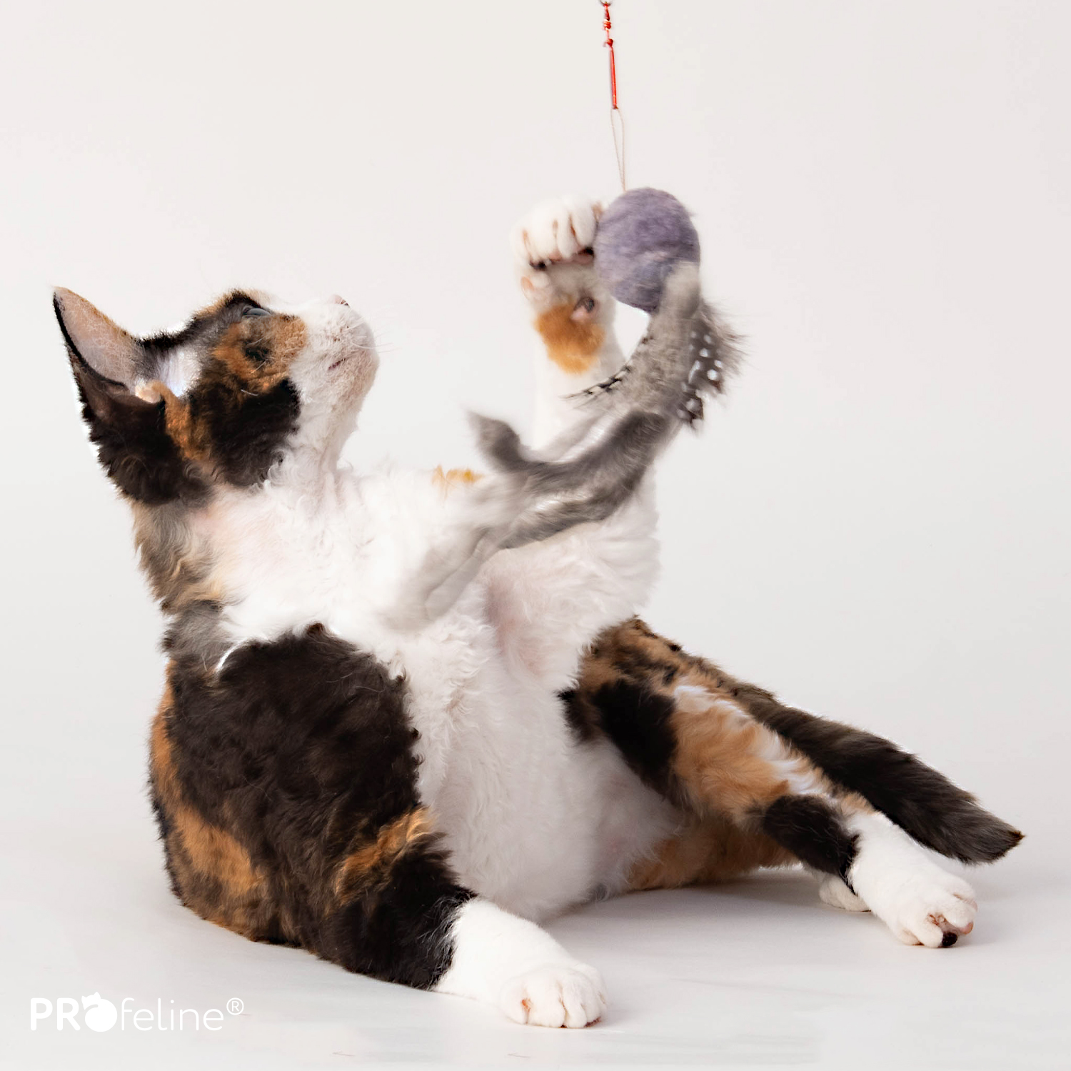 WiggleFur Anhänger Wollball mit Kaninchenstreifen für Katzenagel