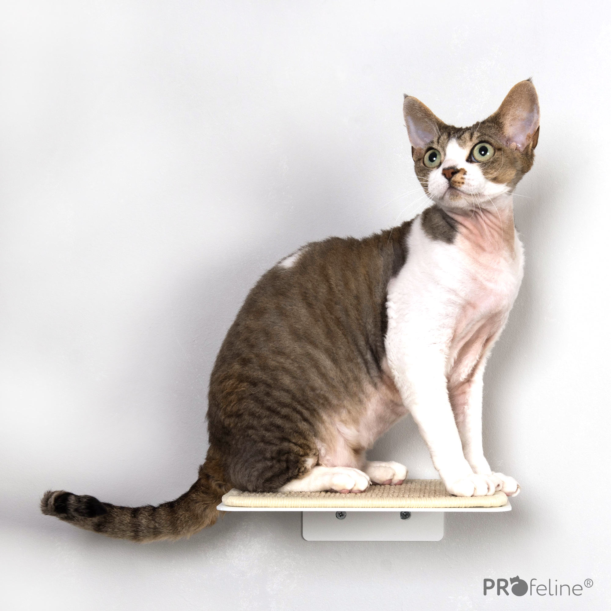 treppenstufe-step-lucy-balu-weiss-sisal-creme Step Weiss, Sisalteppich Creme