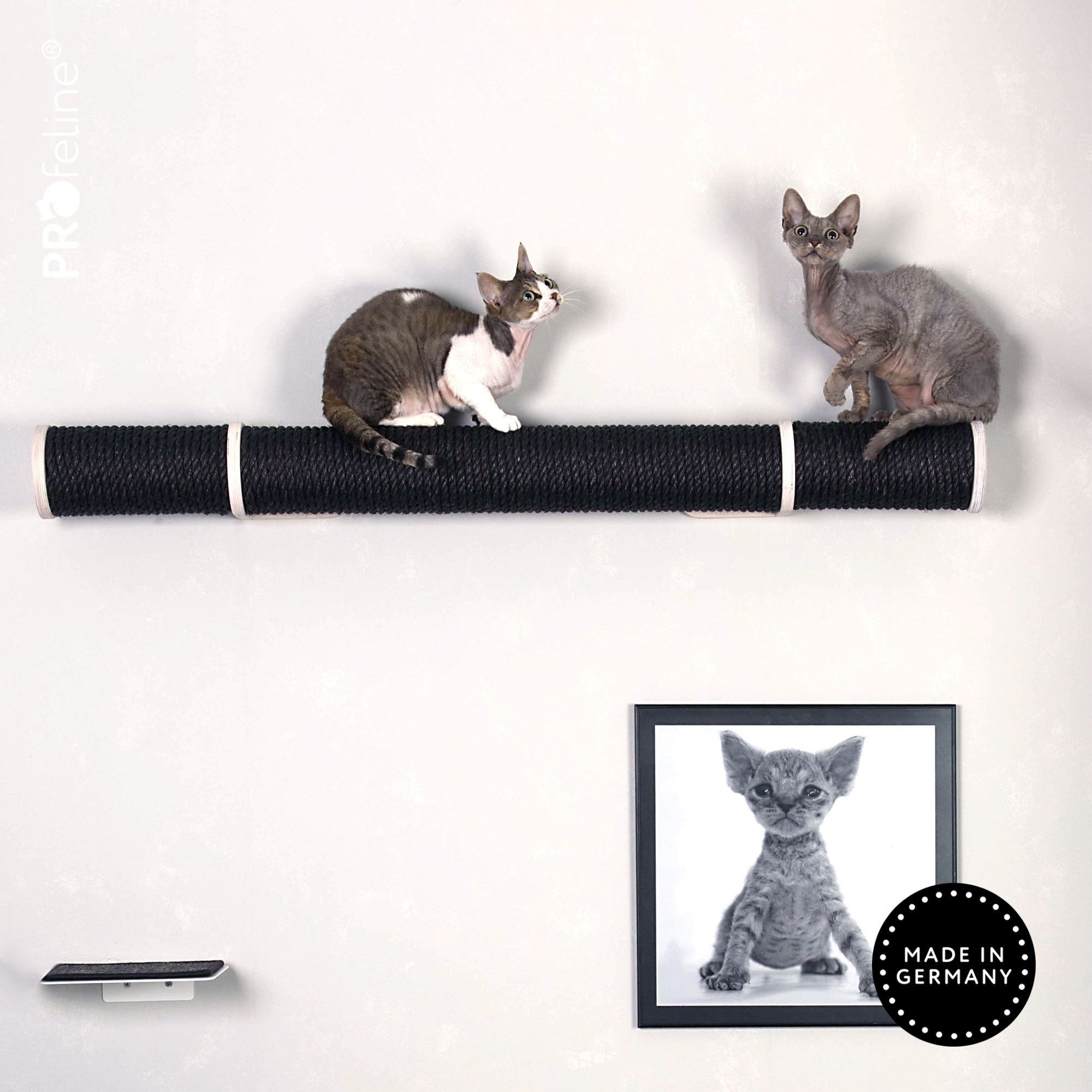 catwalk-runway-black-cats Sisal Schwarz, Holzfarbe Weiss
