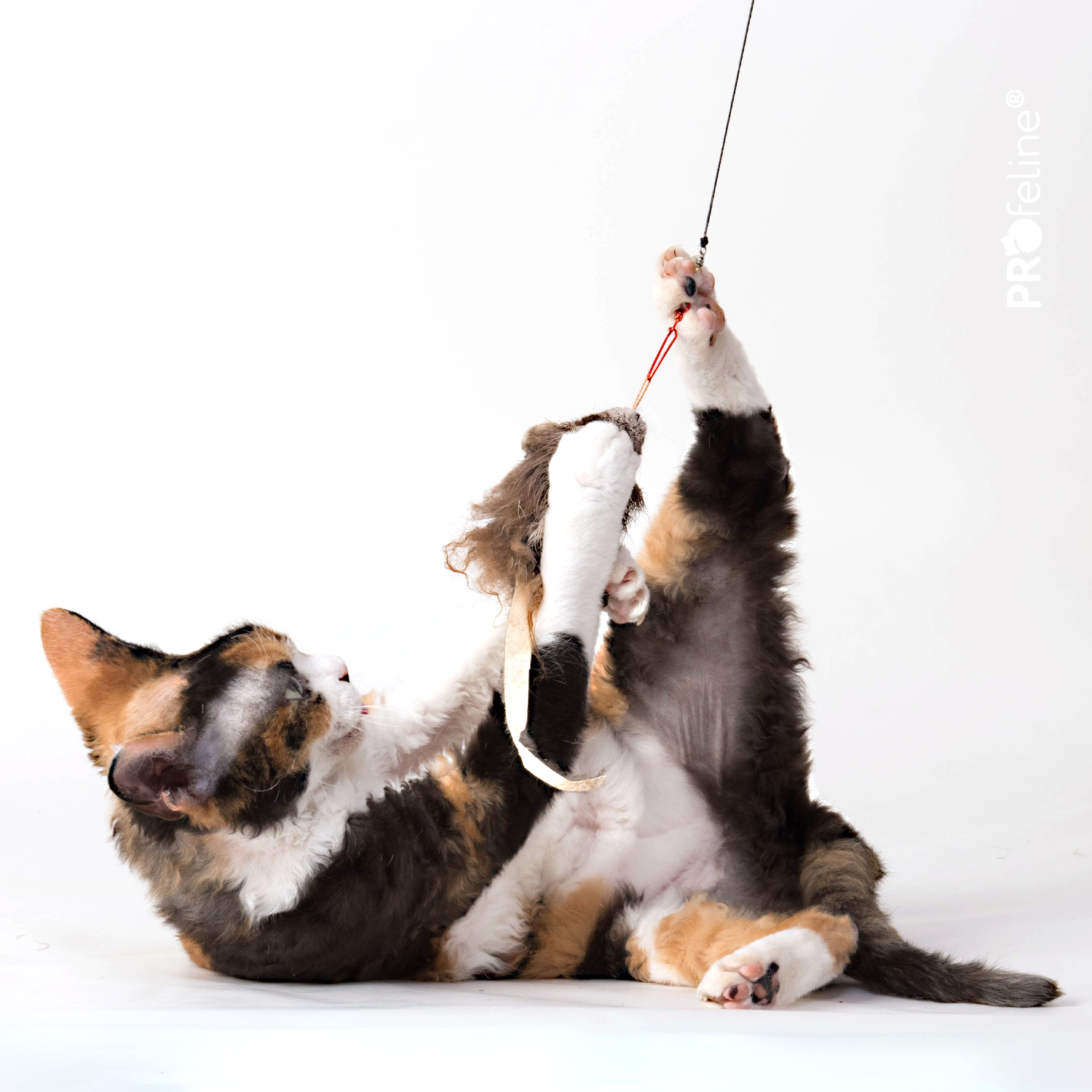 Katzen Spielzeug Maus Opossum für Katzenangeln