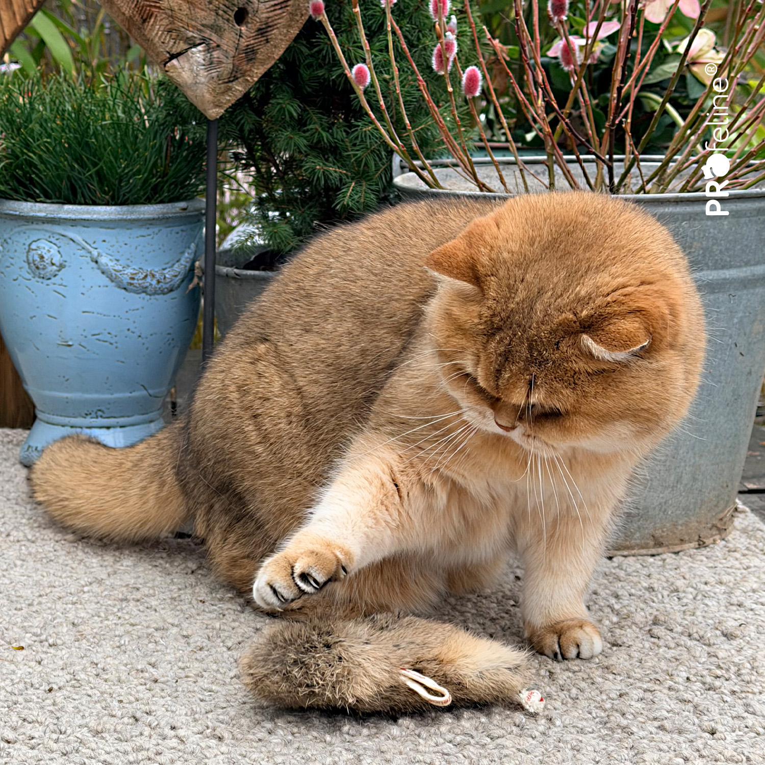Katzenspielzeug Fell befüllbar Maus