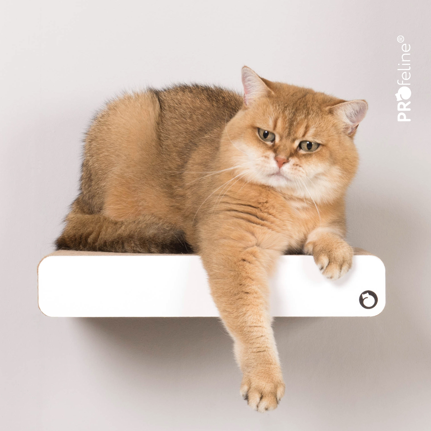 Katzen Kletterstufe Wand Treppenstufe Pipra Weiss