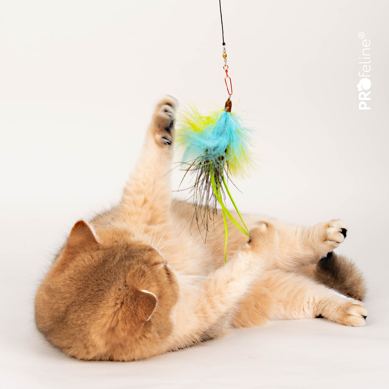 Katzen Anhänger Federn für Katzenangel