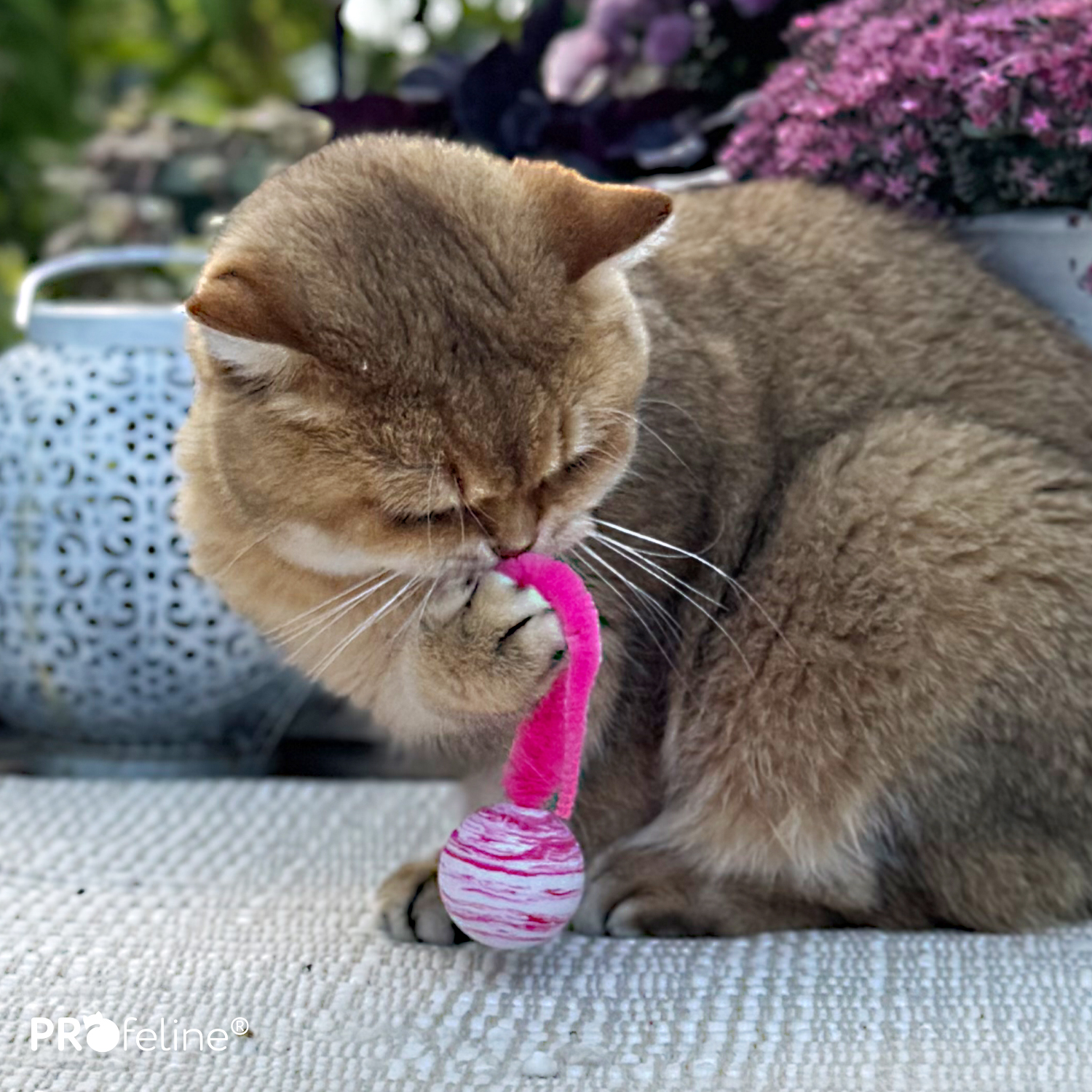 Katzenball mit Plüschschwanz