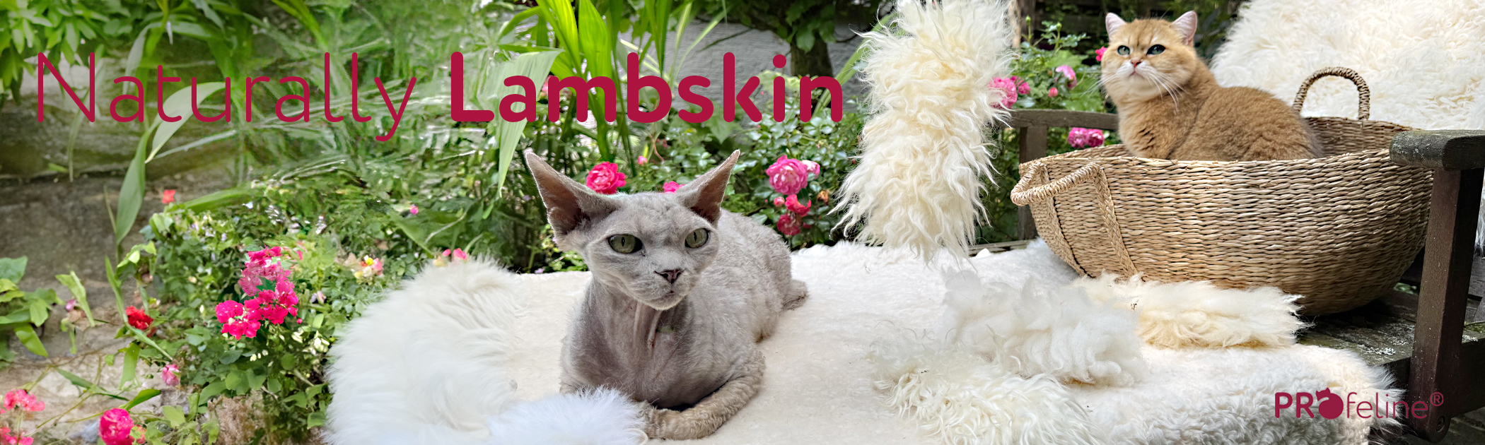 Lammfelle für Katzen Lieblingsplätze