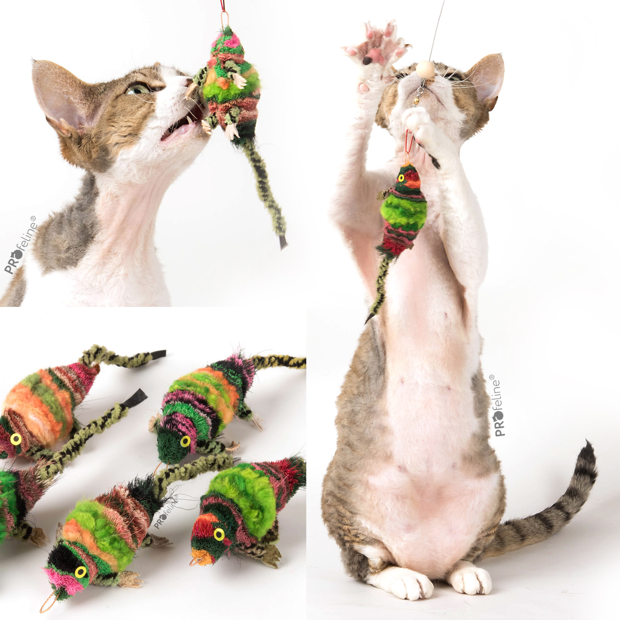 cat-toy-chameleon-SP186CH