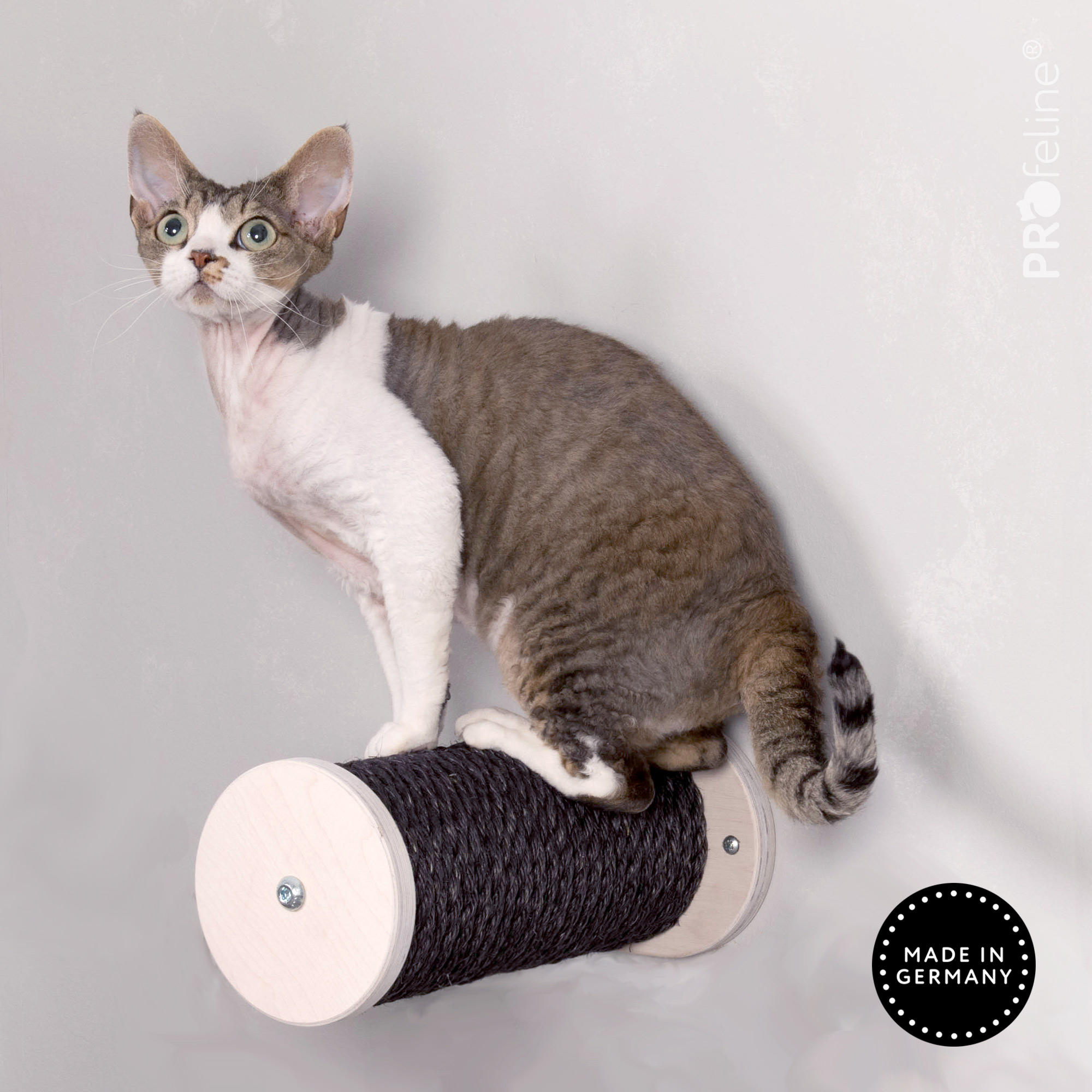 Kletterstufe mit kleinen Makel Katzen Kletterstufe schwarz Katze
