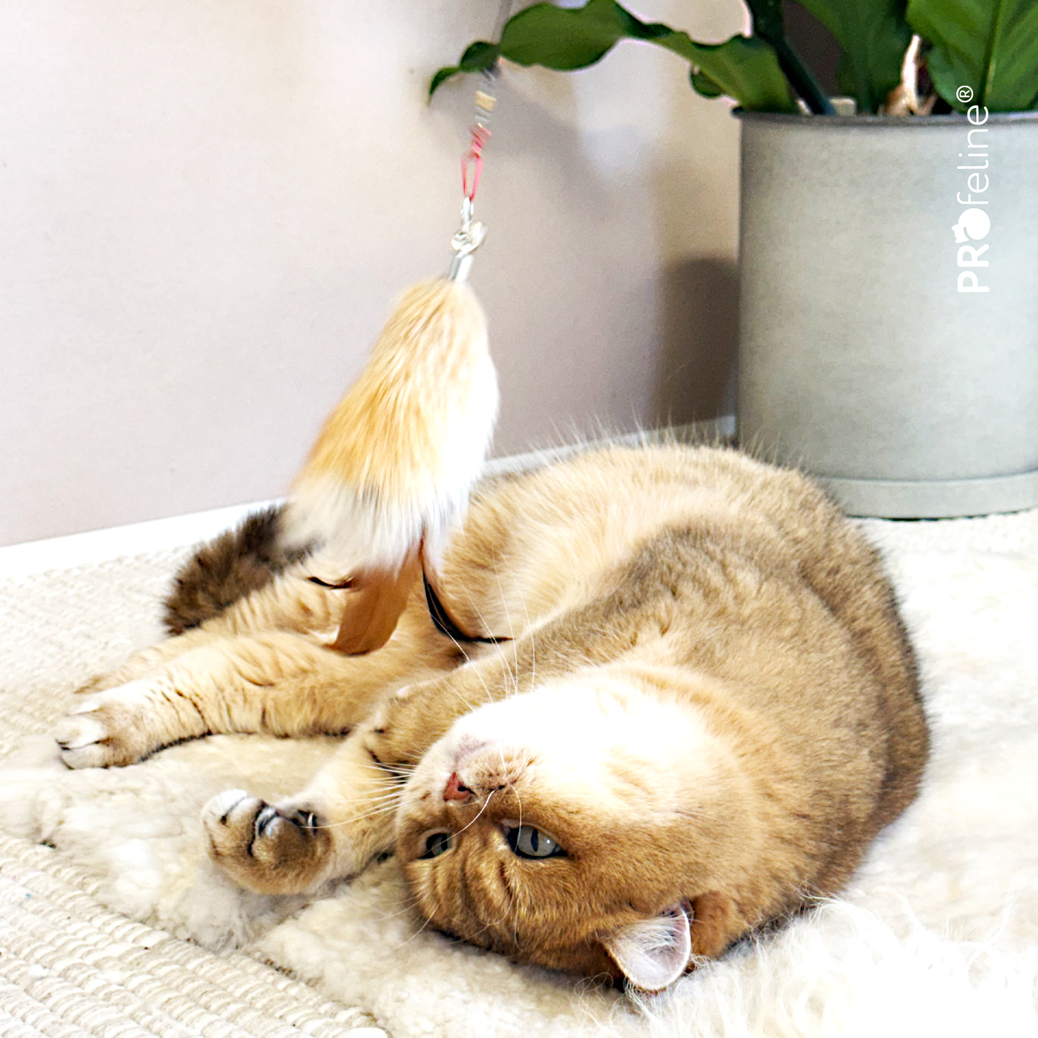 Fluffy Nub Anhänger Katzenshop Fellanhaenger mit Federn