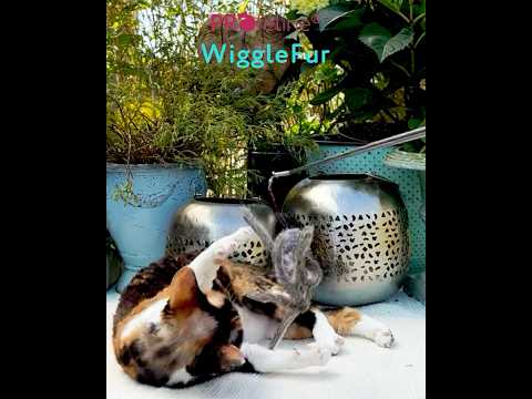 WiggleFur Anhänger WiggleFur Anhänger