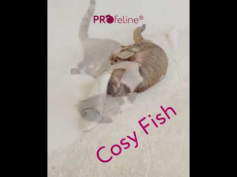 Profeline - Cosy Fish Profeline - Cosy Fish