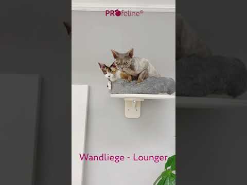 Wandhalterung mit Abschlussebene AE2 Wandhalterung mit Abschlussebene AE2