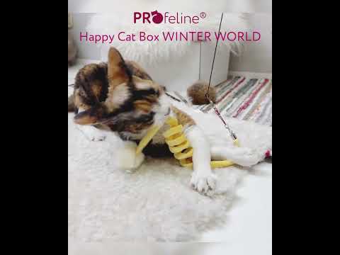 Happy Cat Box - WinterWorld