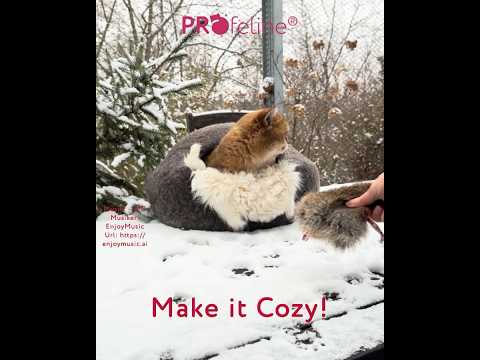 Filzhöhle Woolly Cave Braun